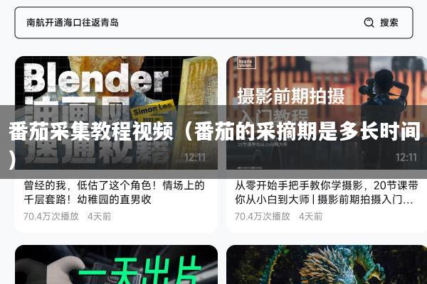 番茄采集教程视频（番茄的采摘期是多长时间）