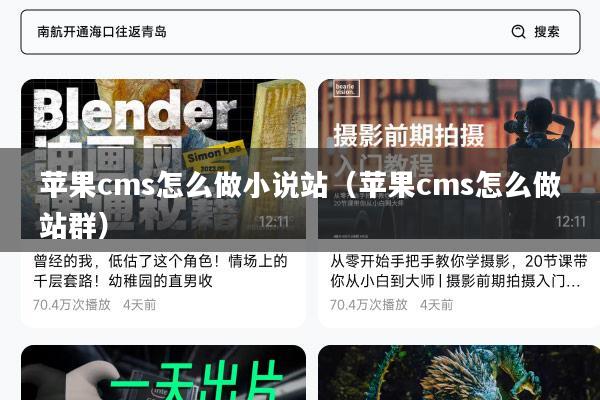 苹果cms怎么做小说站(苹果cms怎么做站群)