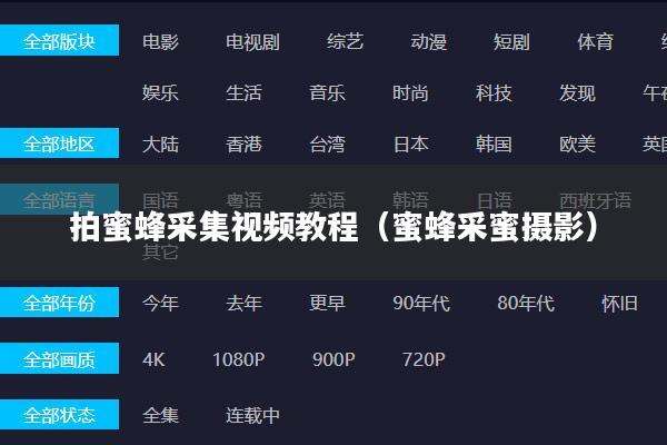 拍蜜蜂采集视频教程（蜜蜂采蜜摄影）