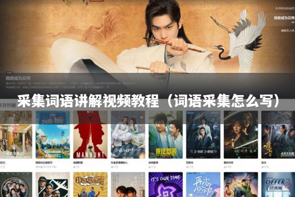 采集词语讲解视频教程（词语采集怎么写）